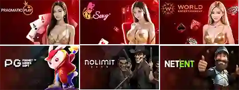 สล็อต pg เว็บตรงแตกหนักวอเลท